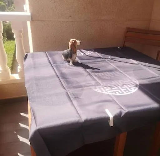 Apacible Escapada Junto Al Mar * La Manga del Mar Menor